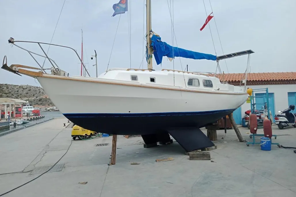 1978-westerly-berwick-sail-9939591-20250909111924508-1
