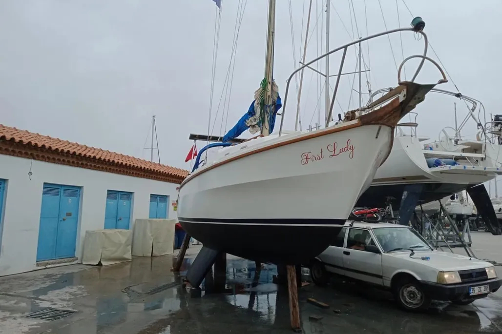 1978-westerly-berwick-sail-9939591-20250909111924524-3