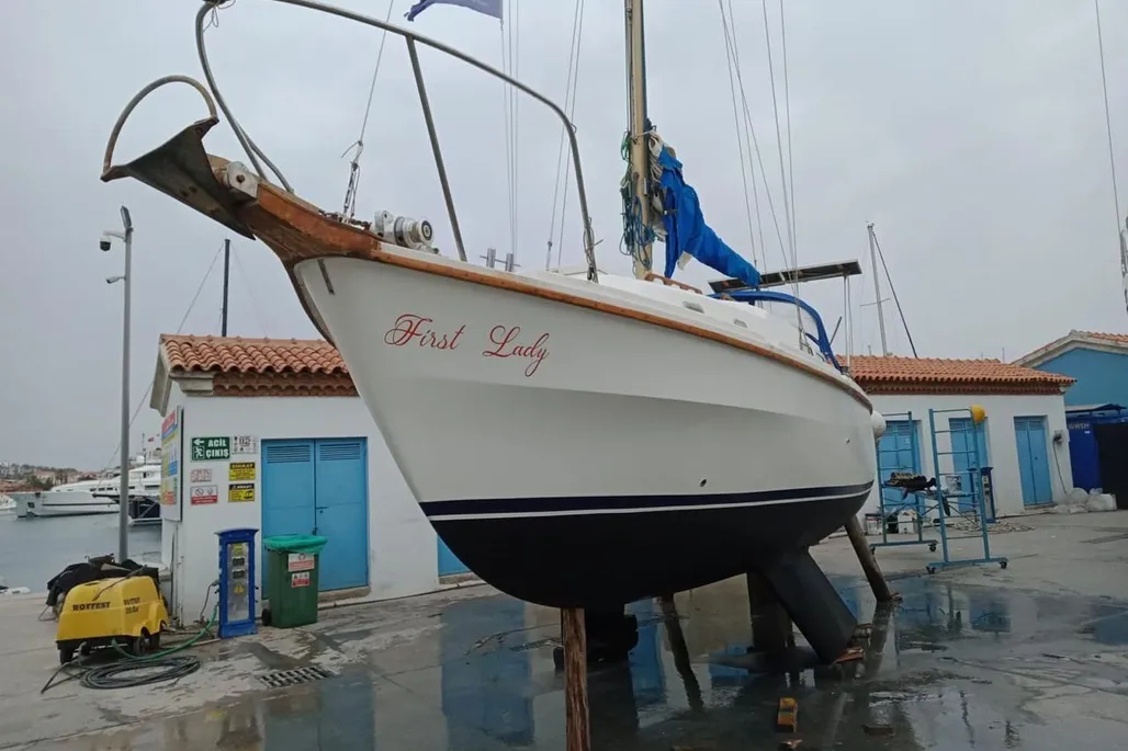 1978-westerly-berwick-sail-9939591-20250909111924533-4