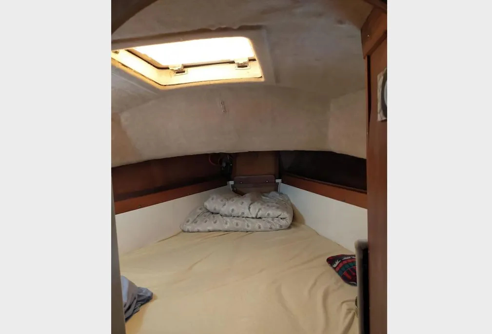 1978-westerly-berwick-sail-9939591-20250909111924586-10 (1)