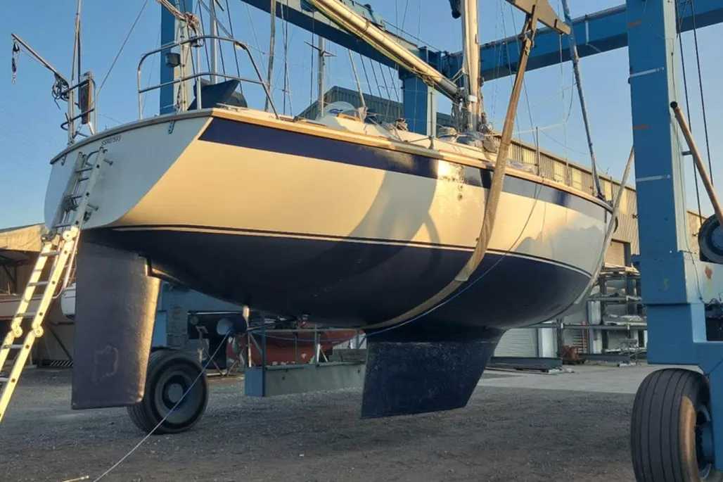 1983-westerly-sealord-39-sail-10175920-20260507083005204-2